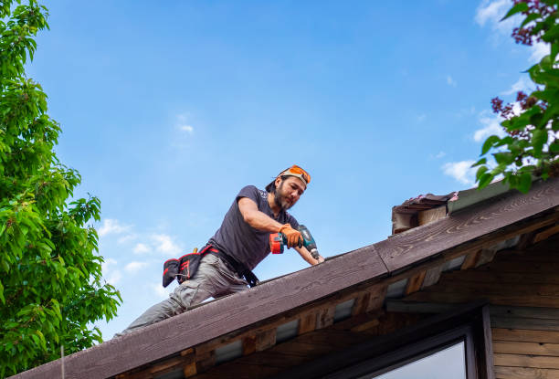 Best Storm Damage Roof Repair  in Greenwich, OH